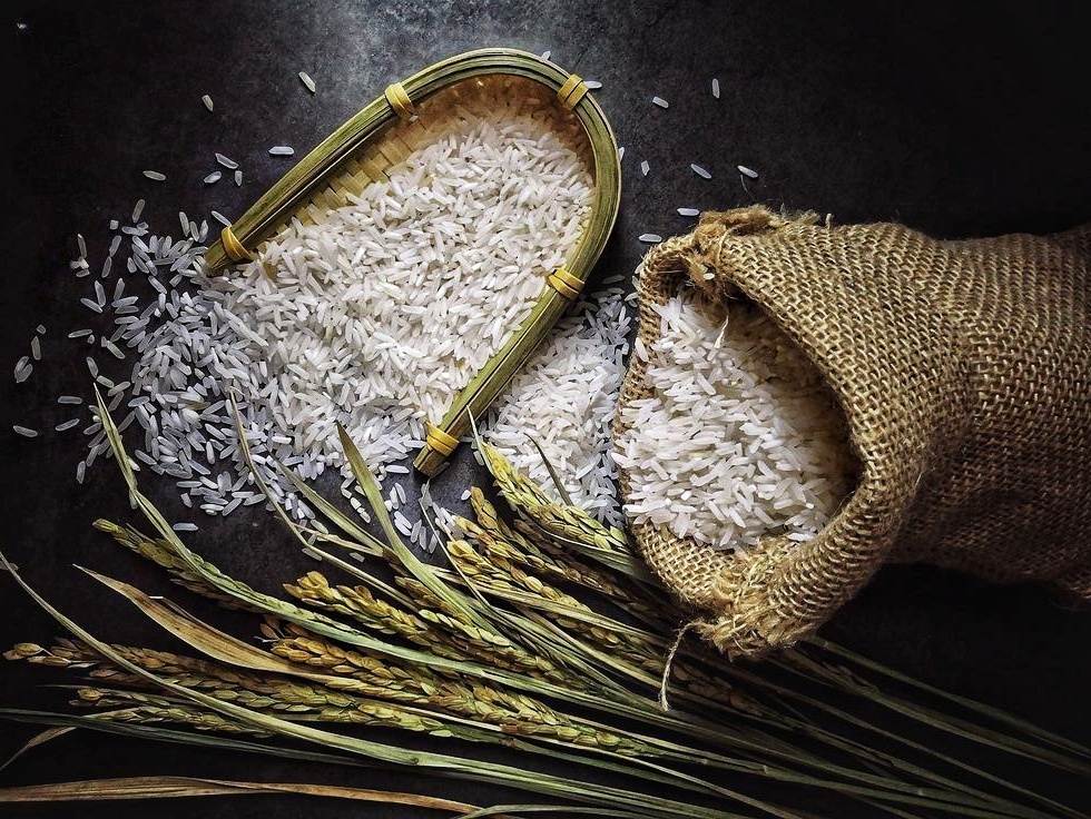 Tamila Agrifood; Strategic Rice Partner for National Food Reserves and Emergency Stockpiles